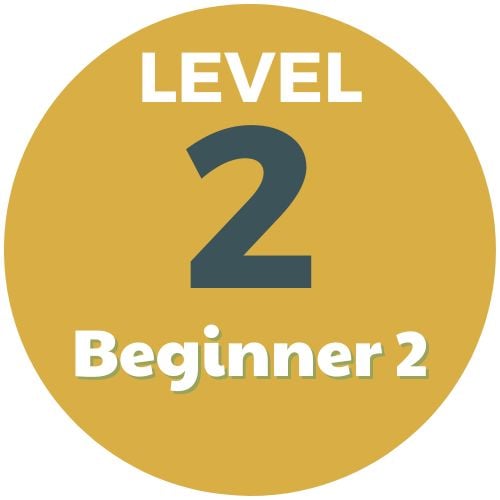 Beginner 2